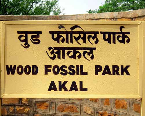 Akal Wood Fossil Park